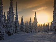 Hiver, Colombie Britannique