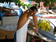 Retour de la pêche, Salvador