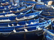 Port d'Essaouira, ses barques