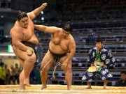 Tournoi de sumos, Kyushu